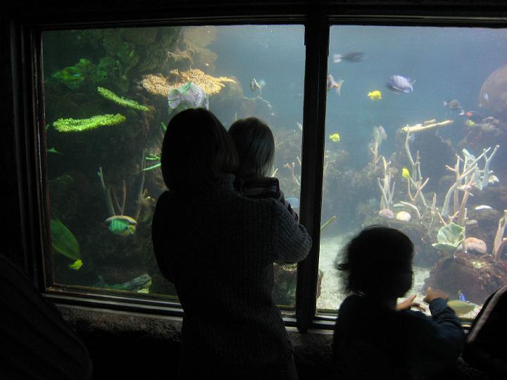 Seattle Aquarium 22.JPG